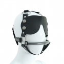 Leather Head Harness with Eye Patch and Leash