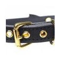 Golden Kitty Collar With Cat Bell - Black/Gold