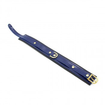 Blue Leather Collar