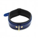 Blue Leather Collar