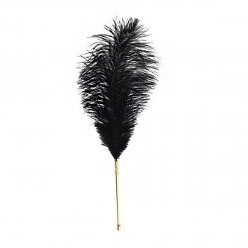 Sevanda Natural Peacock Flirting Feather Tickler