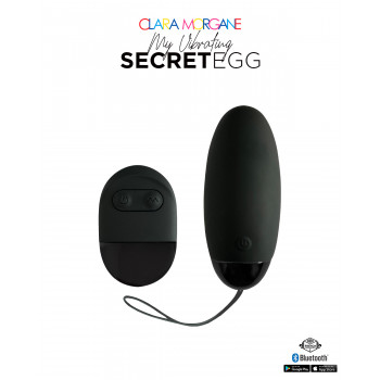 My Vibrating Secret EGG Black – App controlled fra Sadistenstoolbox