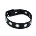 Black Leather Slim Collar with Multi-Metal Eyelets